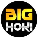 BIGHOKI - Petualangan Epik di Dunia MMORPG